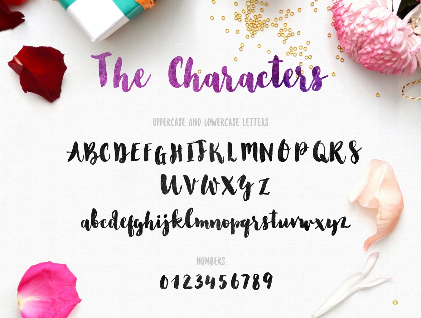 Florence Brush Font 5