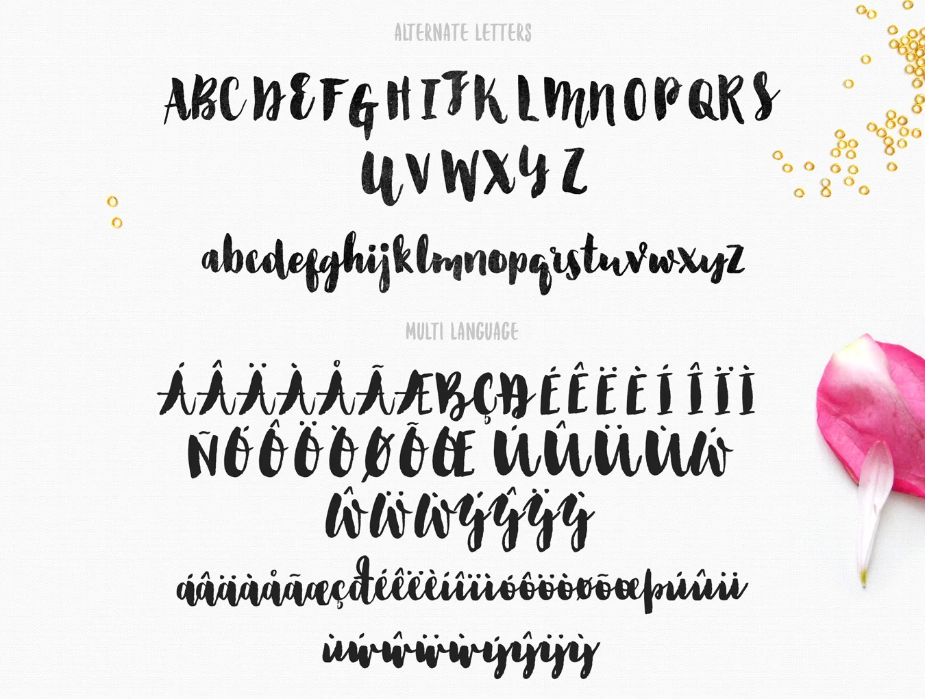 Florence Brush Font 6