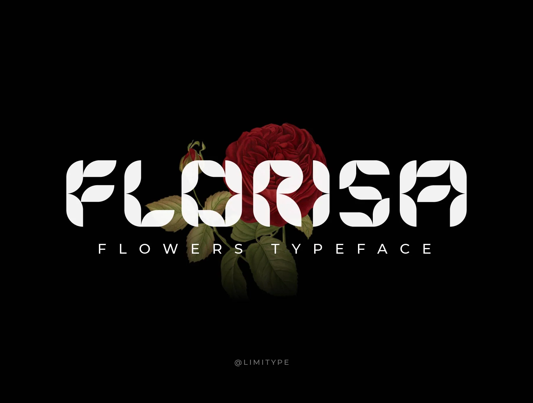 Florisa