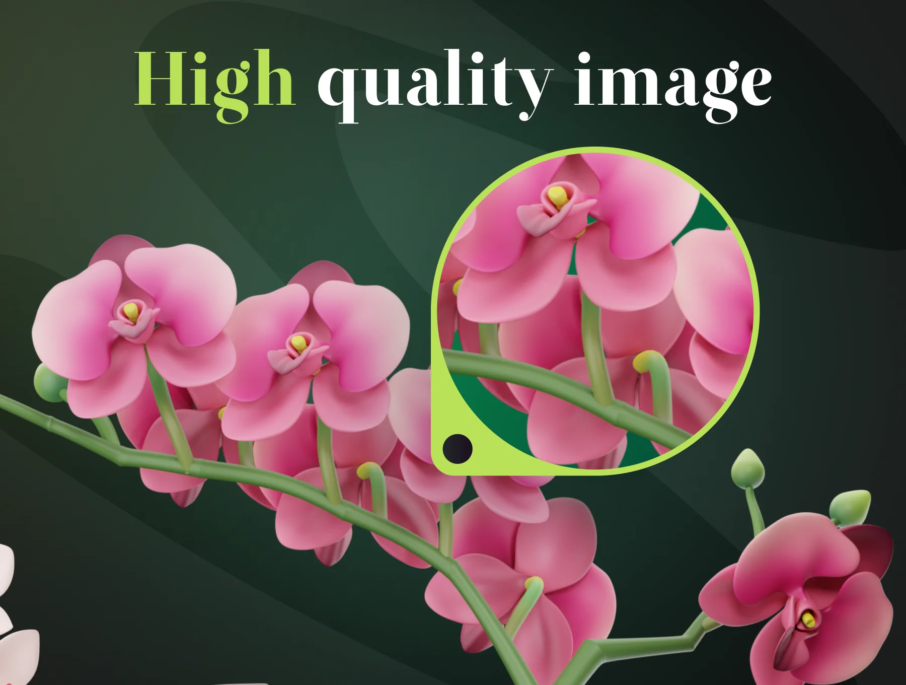 Flowy - Flowers 3D Icon Set 4