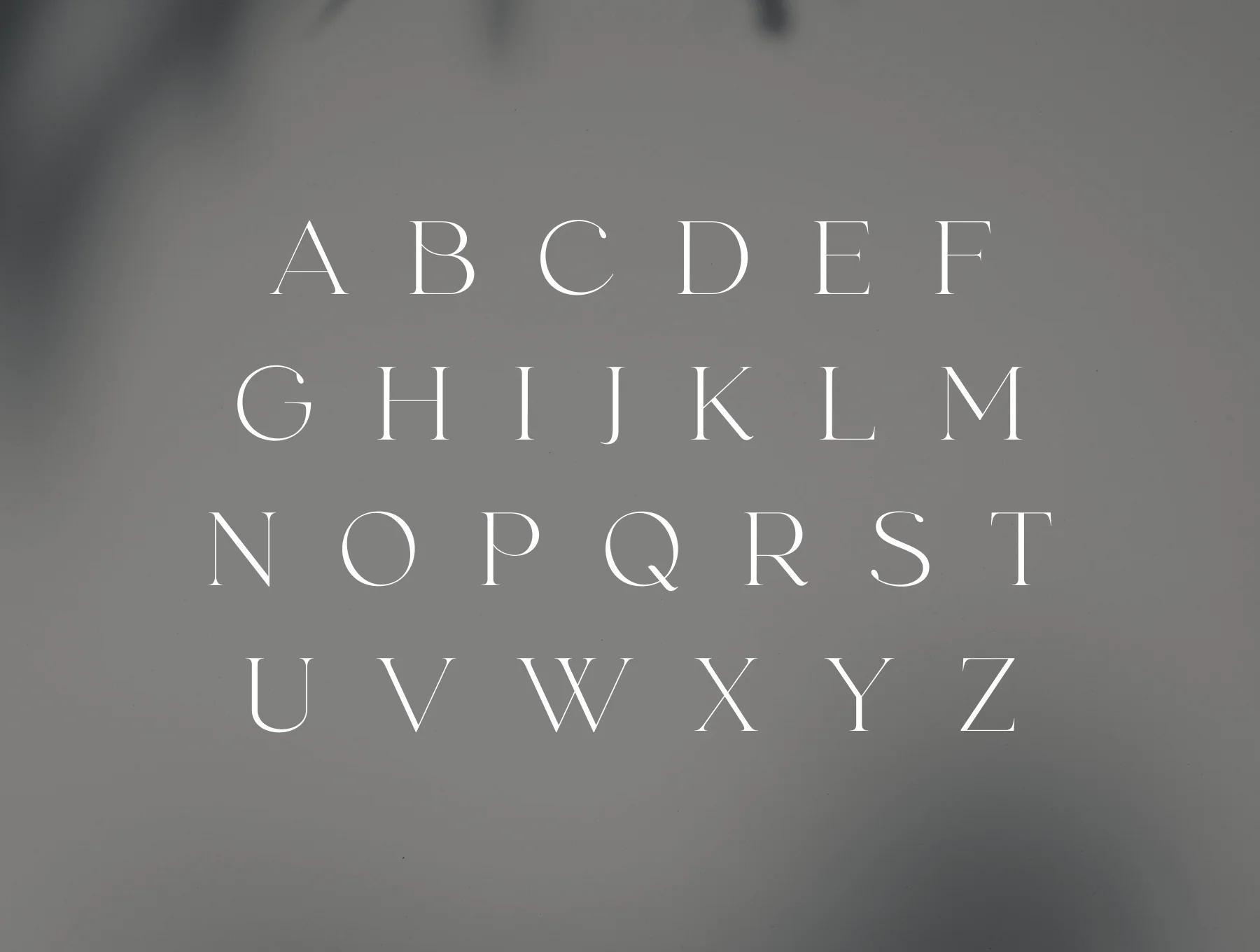 fonde - elegant chique font 4