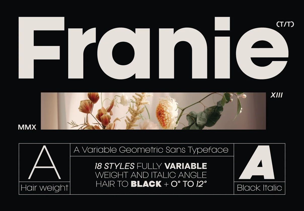 Franie Geometric Sans Family