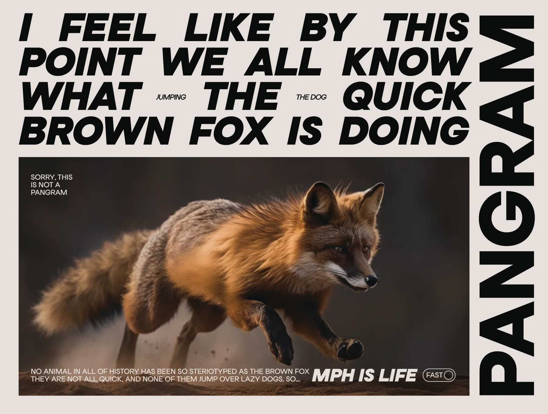 Franie Geometric Sans Family 4