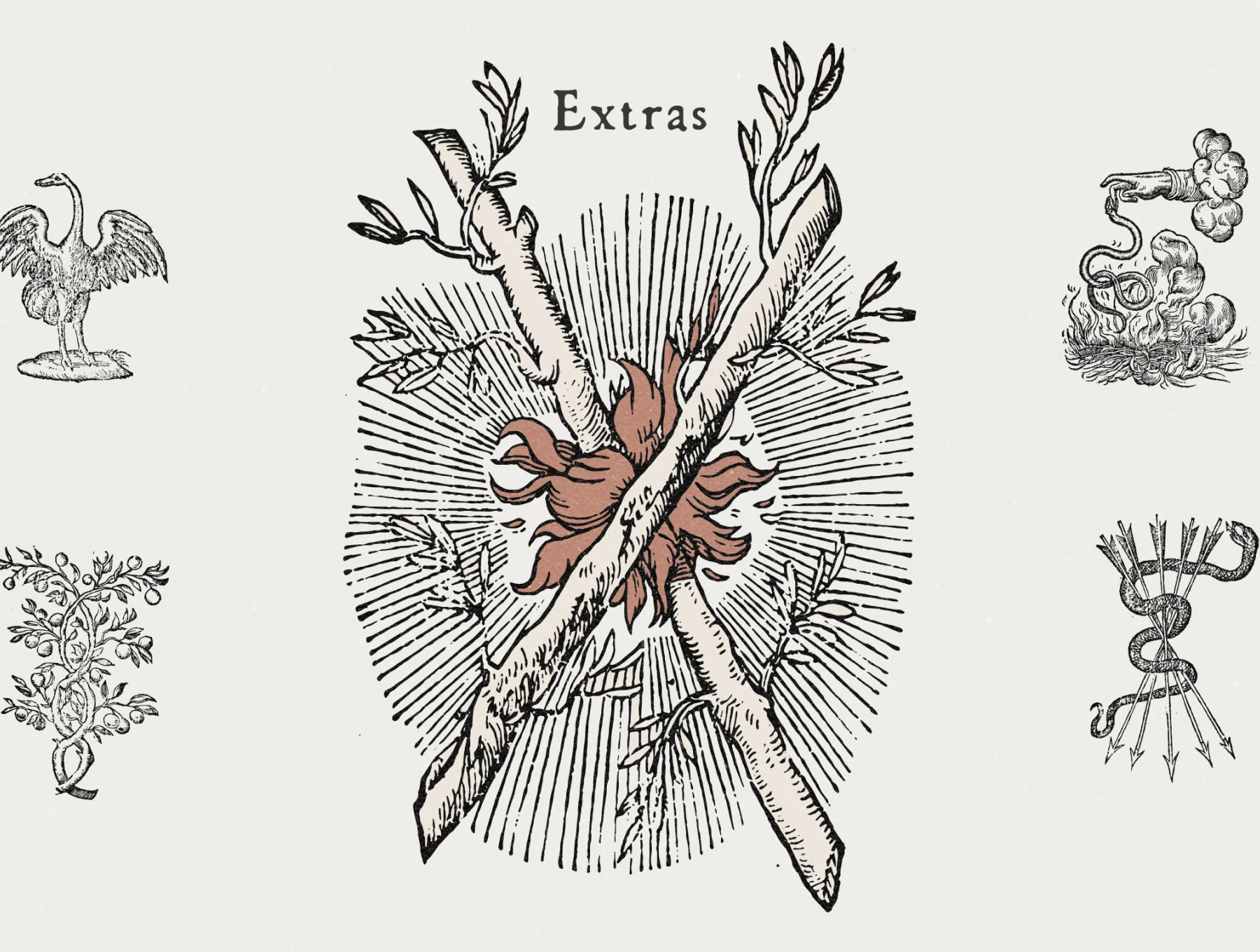 Fratelli – A 1577 Serif Font + Vintage Illustrations 9