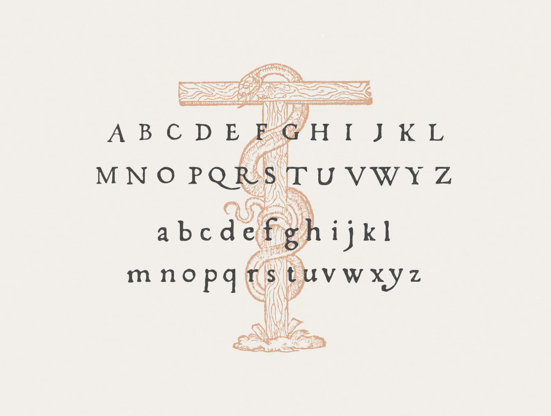 Fratelli – A 1577 Serif Font + Vintage Illustrations 4