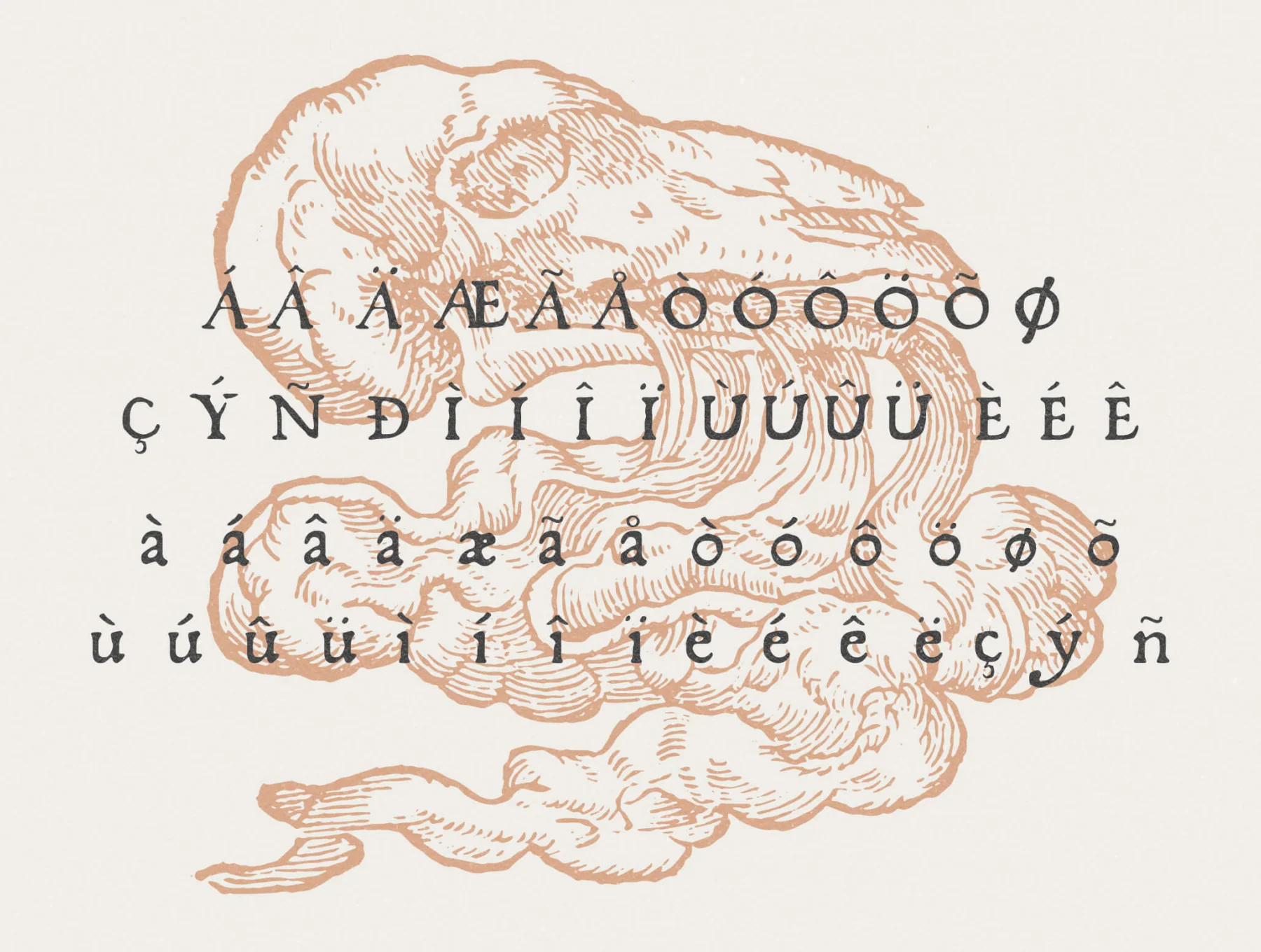 Fratelli – A 1577 Serif Font + Vintage Illustrations 5