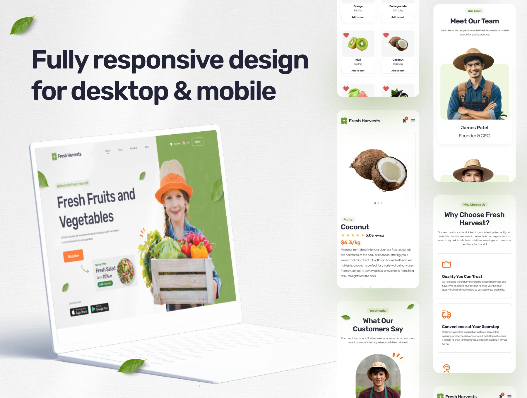 Fresh Harvest - Grocery E-Commerce Web UI Kit 4