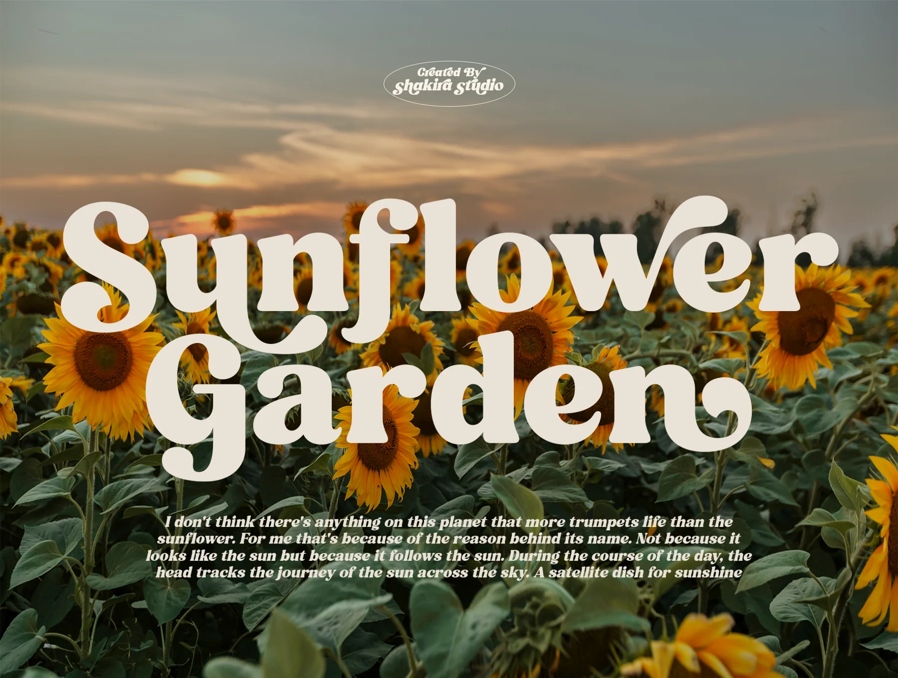 Fresh Mango - Retro Serif Font 3