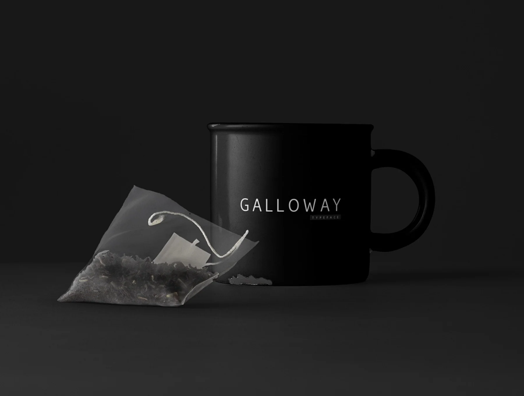 Galloway  - Modern Typeface + WebFont 4