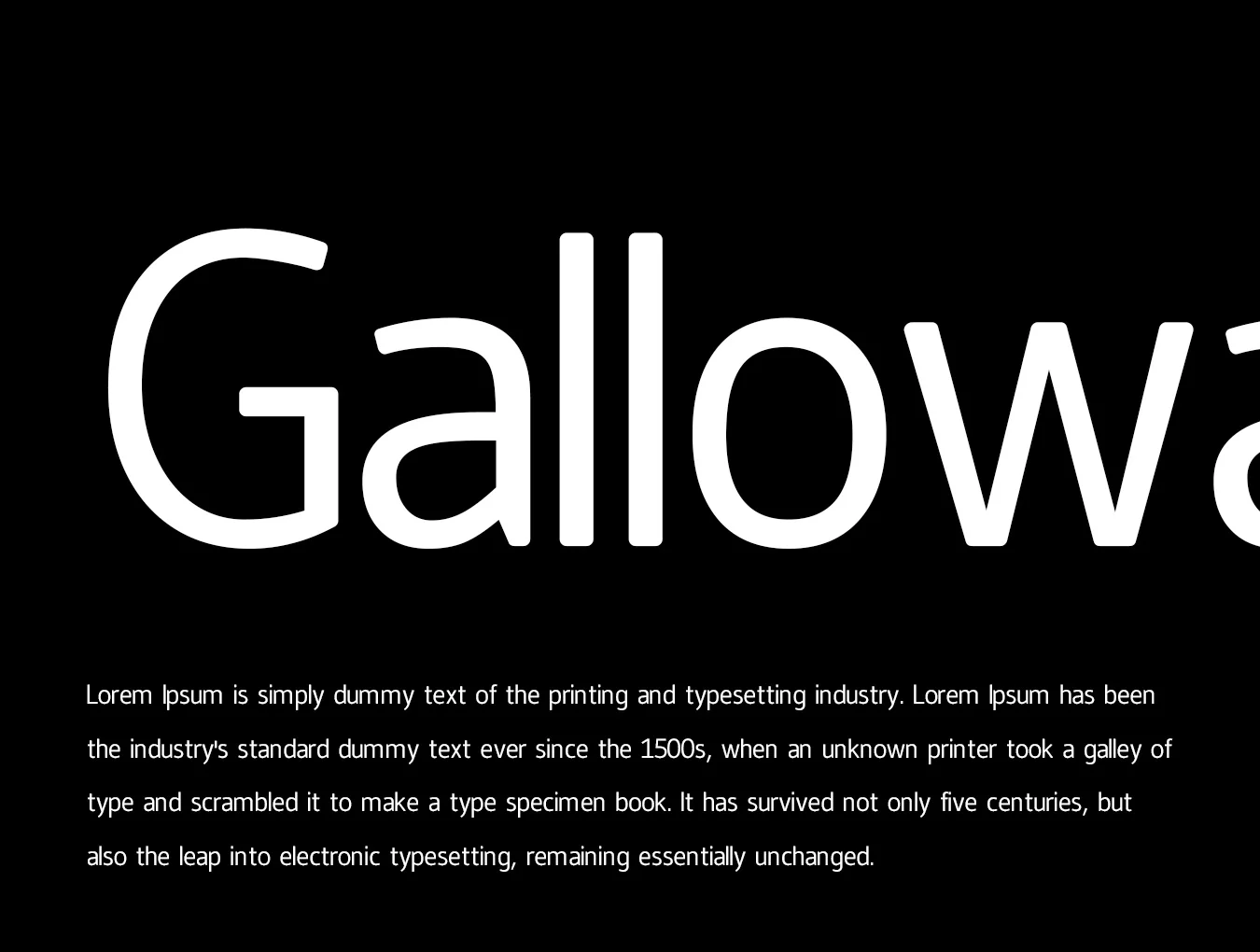 Galloway  - Modern Typeface + WebFont 7