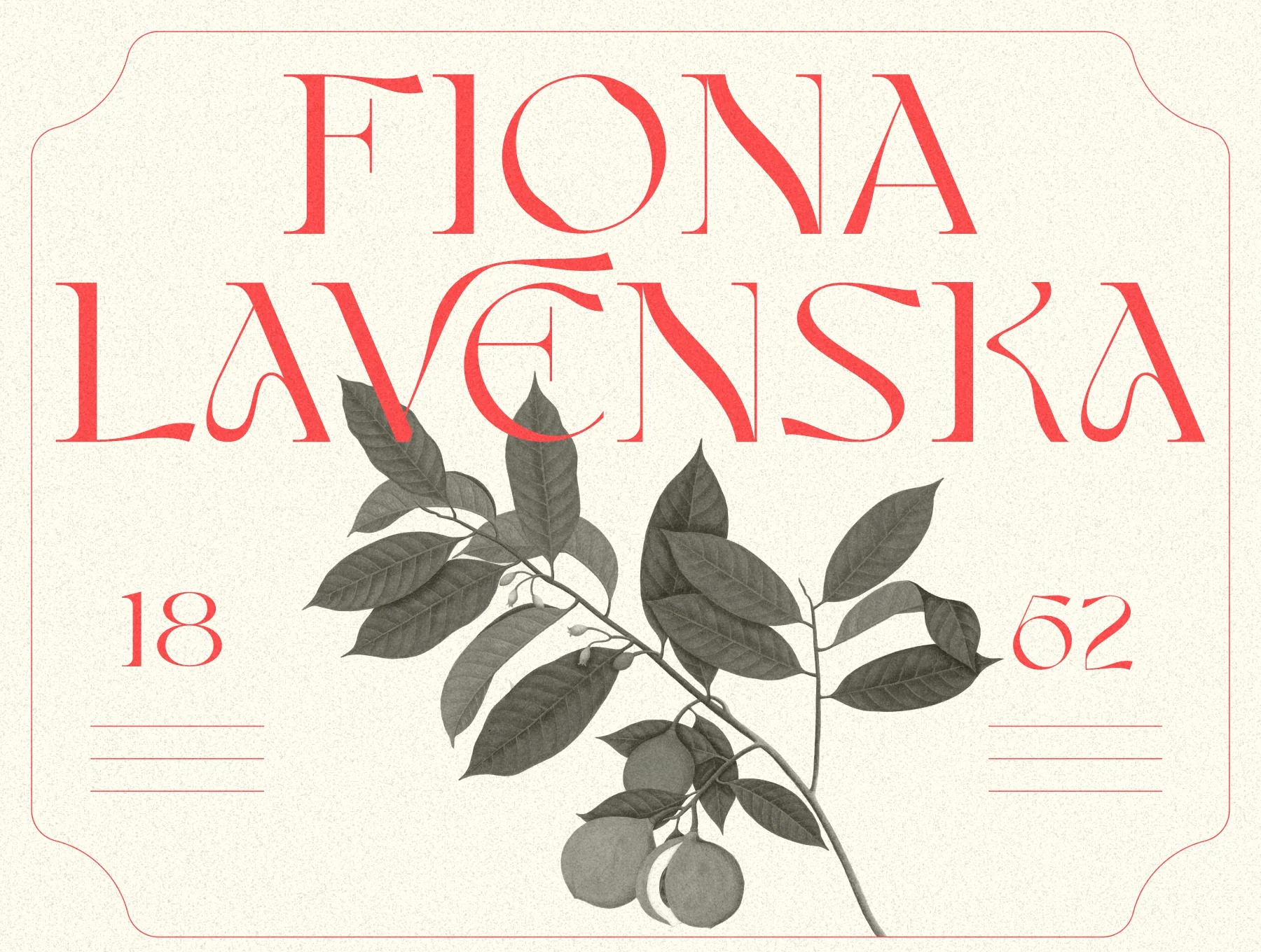 Ganora Font 3