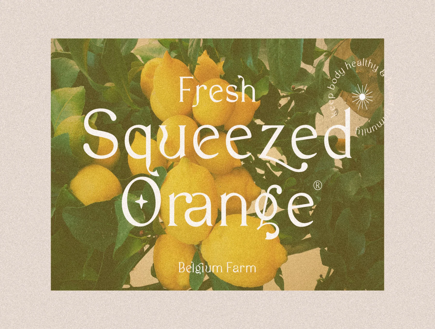 Garlich Grow - Trendy Modern Serif 5