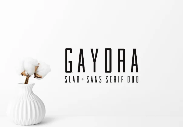 Gayora Slab Serif Duo
