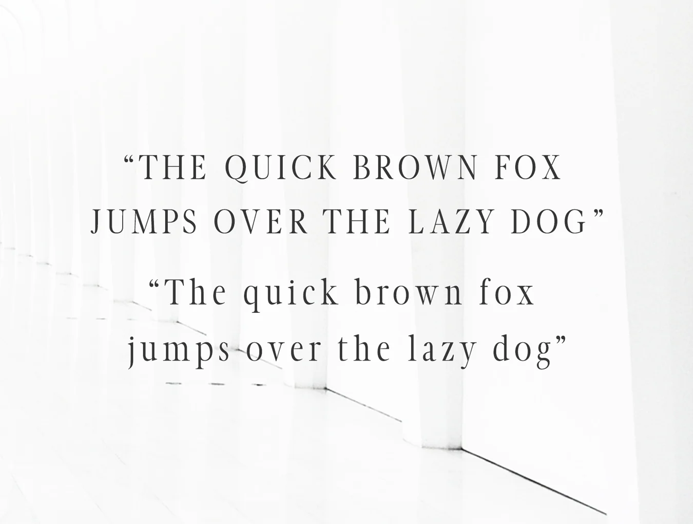 Glamour Luxury Serif Family 3