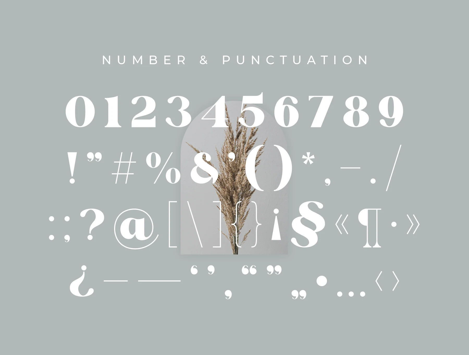 Glaure Vintage Serif 10