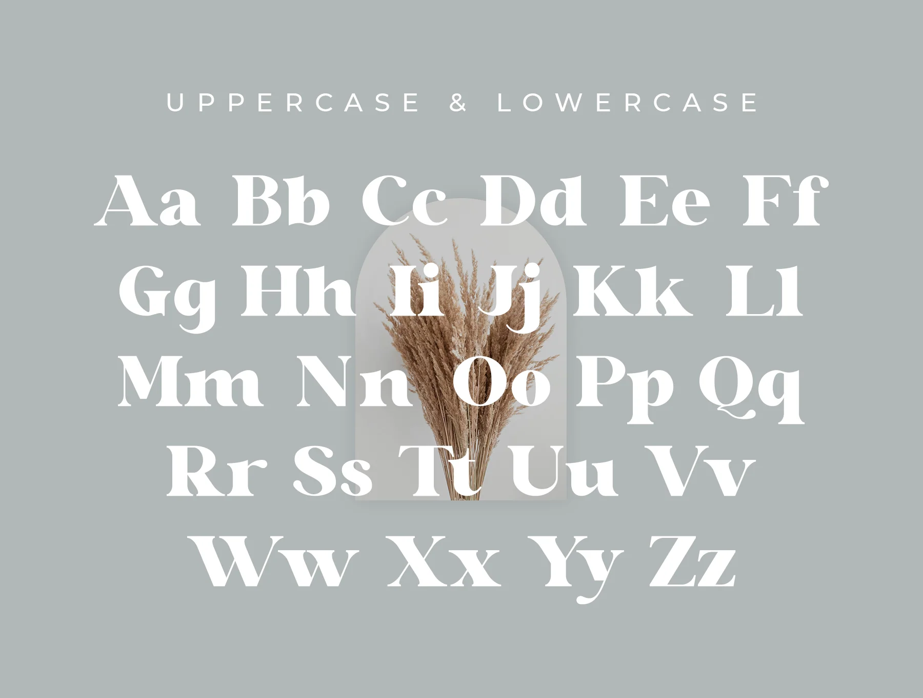Glaure Vintage Serif 8