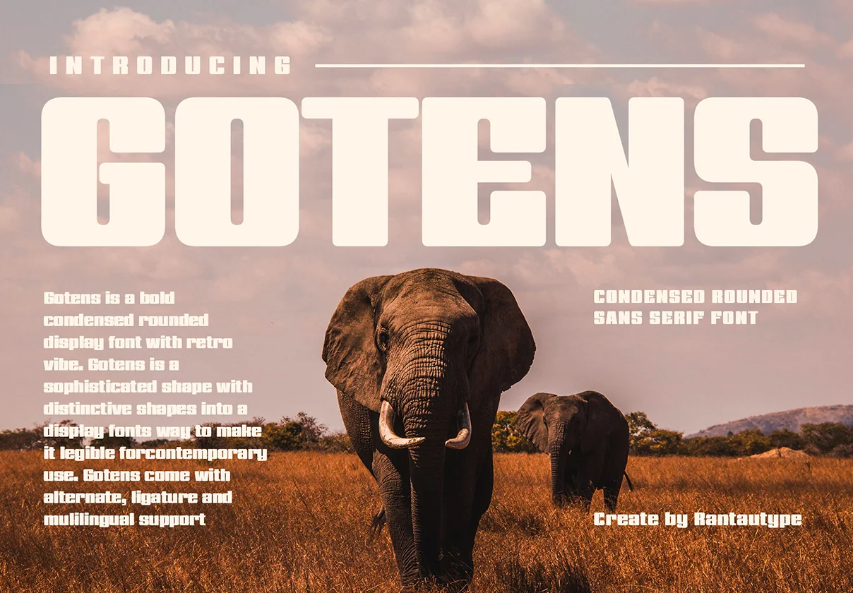 Gotens Bold Condensed Display Font