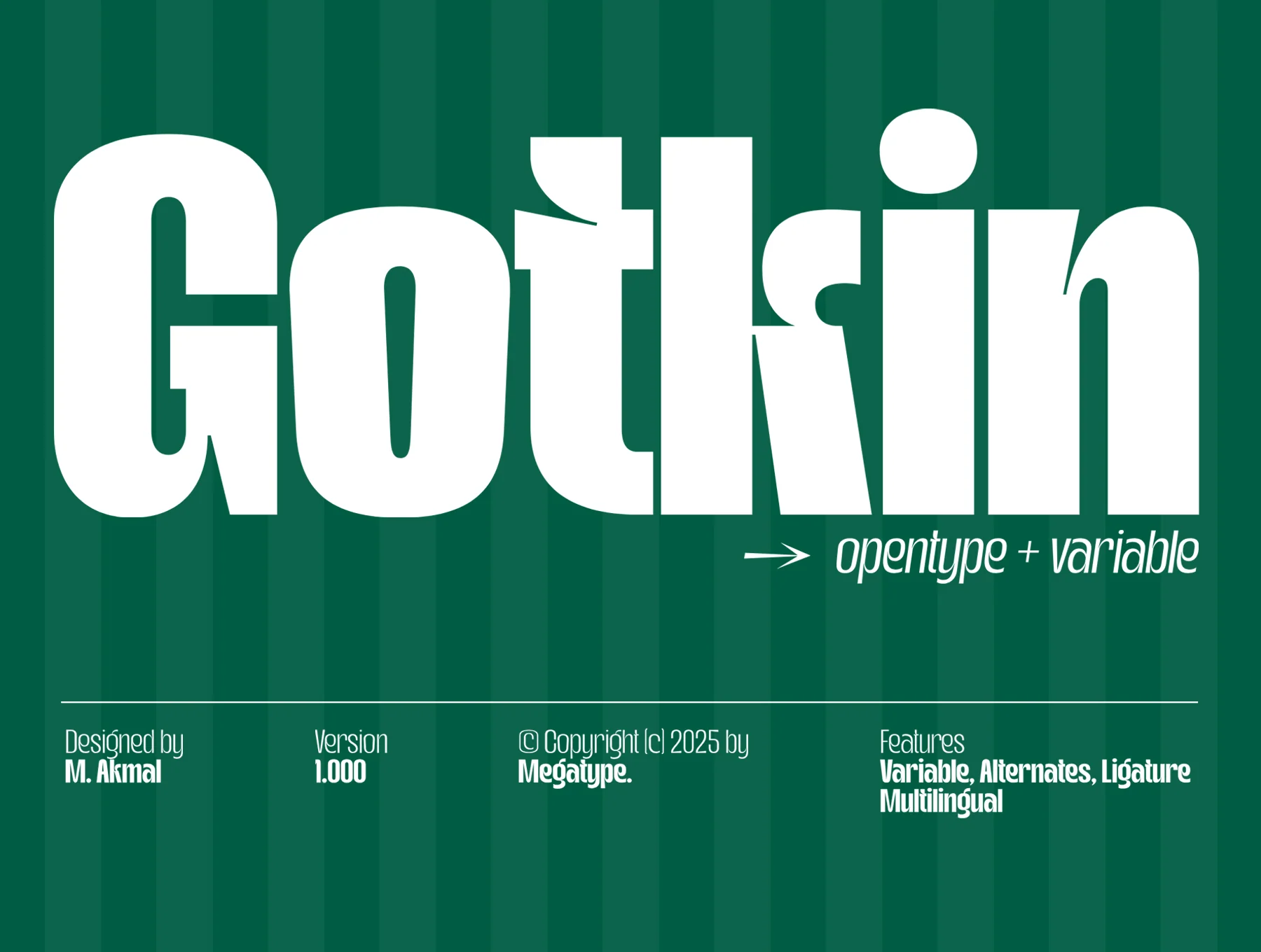 Gotkin Variable Sans Serif 8