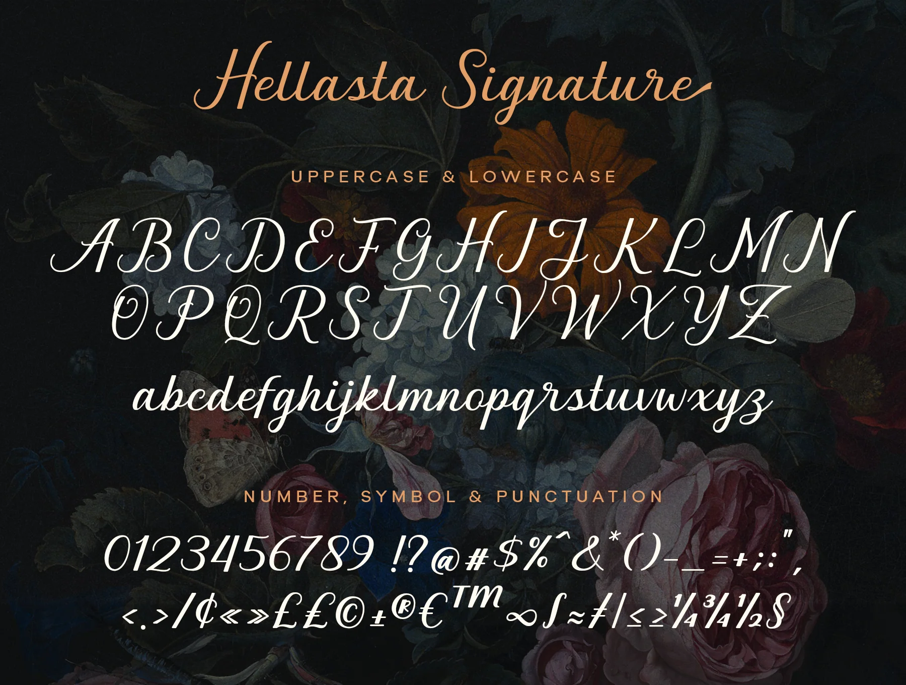 Graceful Nostagia Script Font 5