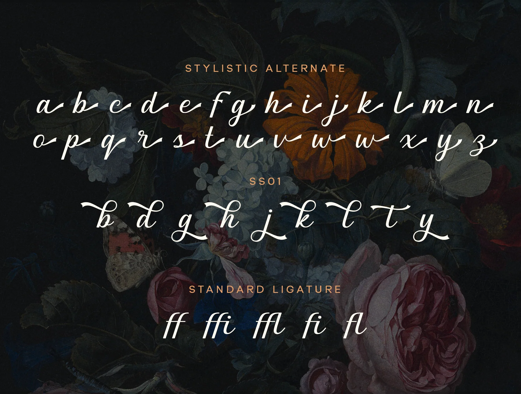 Graceful Nostagia Script Font 6