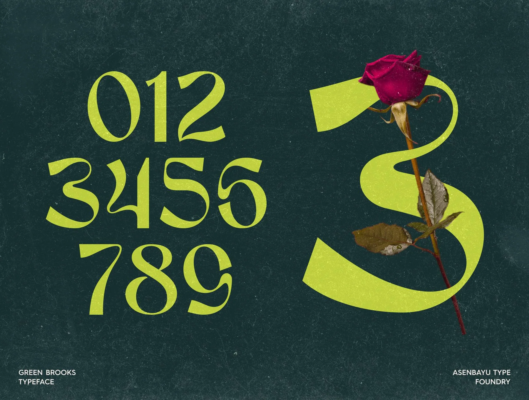 Green Brooks Typeface 4