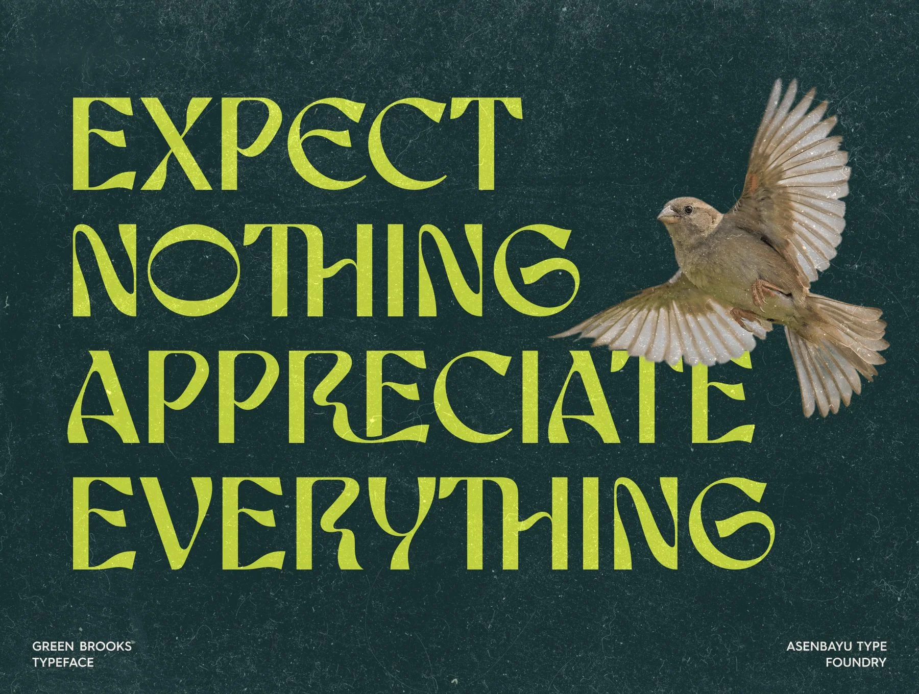 Green Brooks Typeface 5