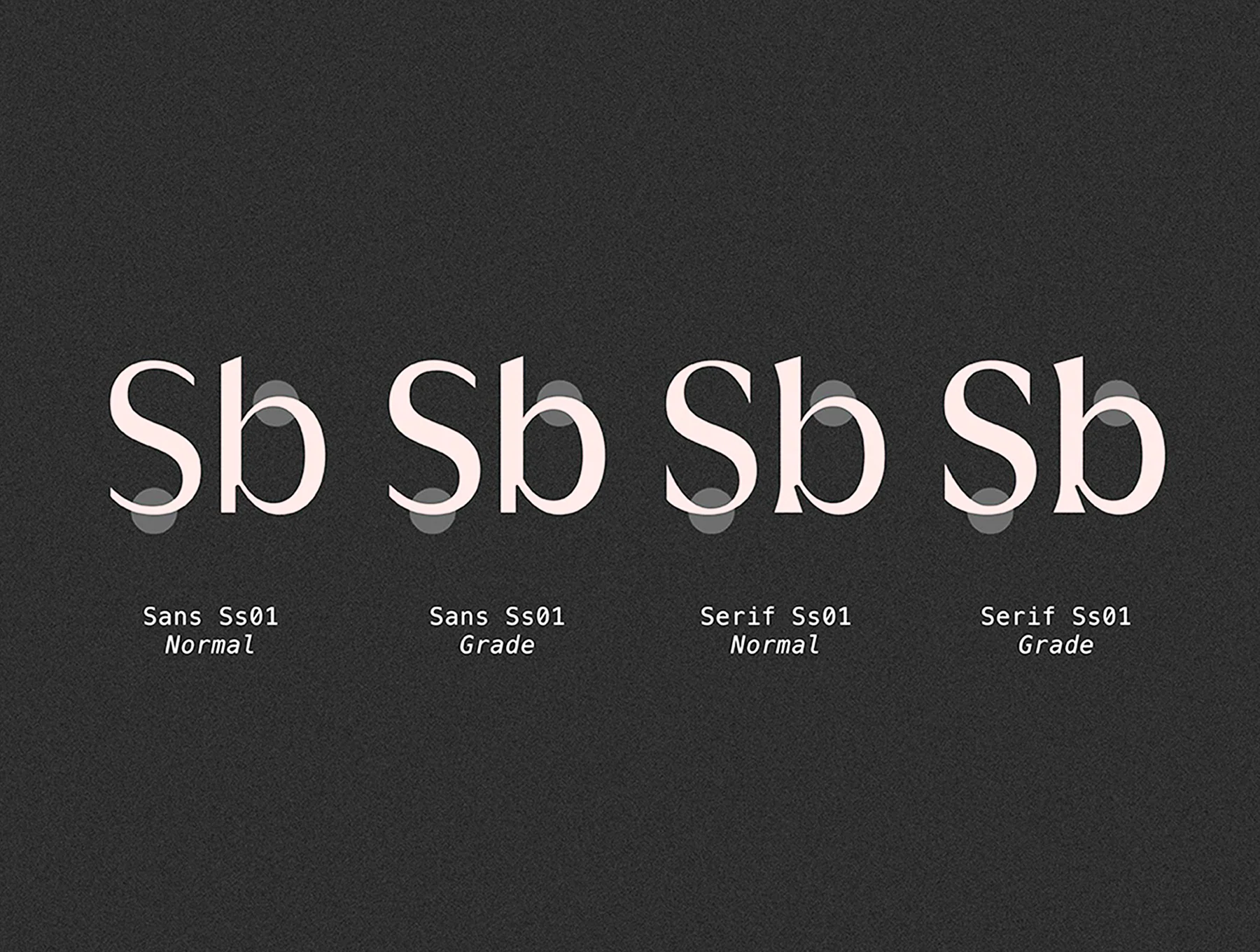 Griggs Variable Typeface 9