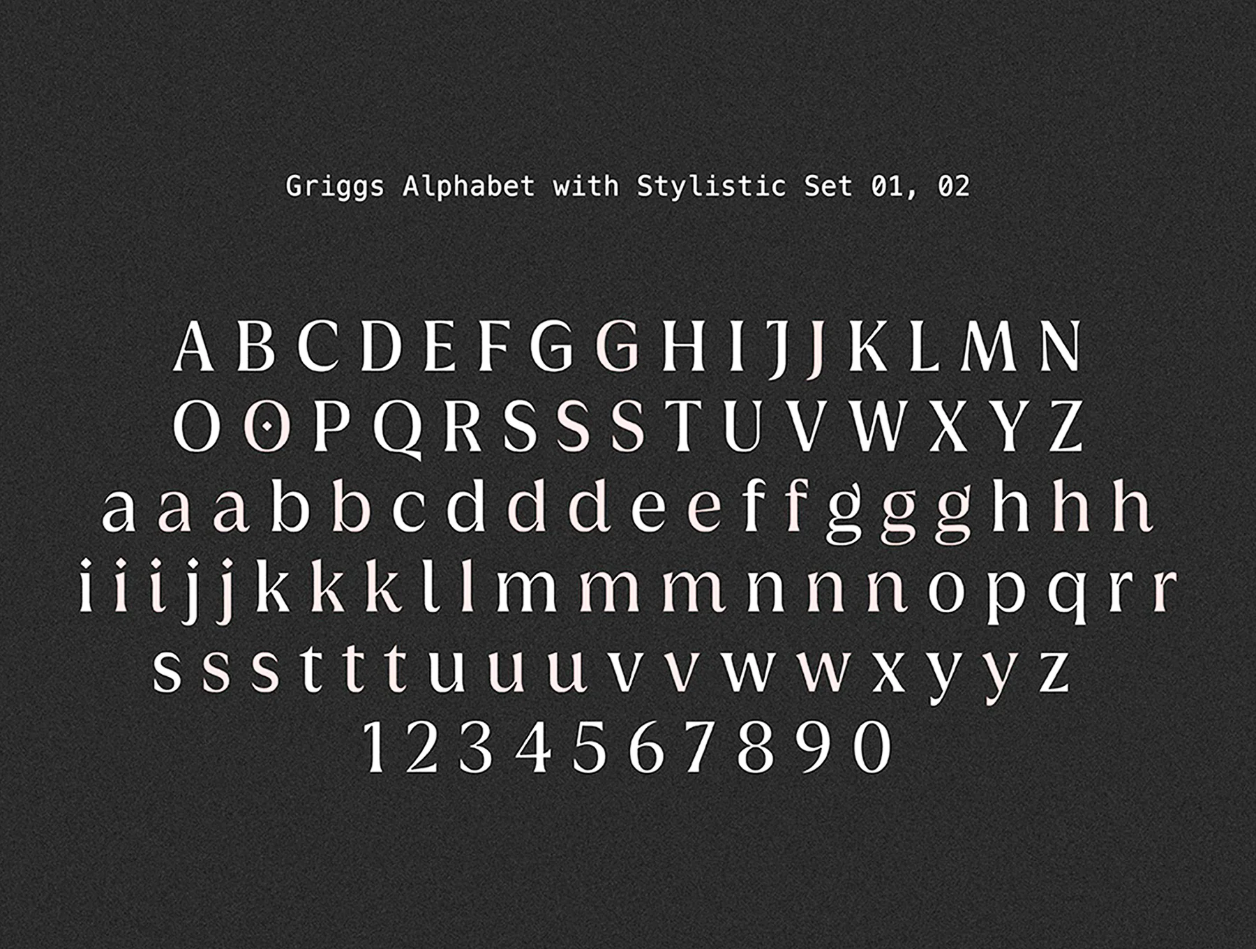 Griggs Variable Typeface 14