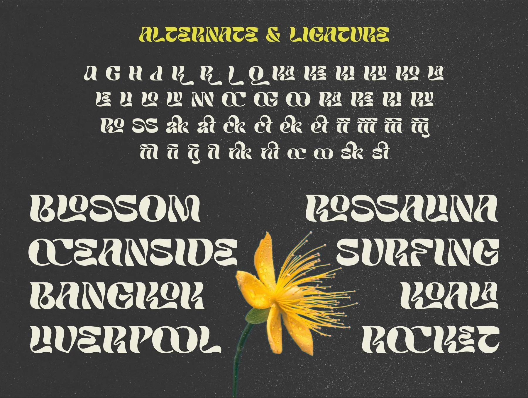 Groove Tribe Font 6