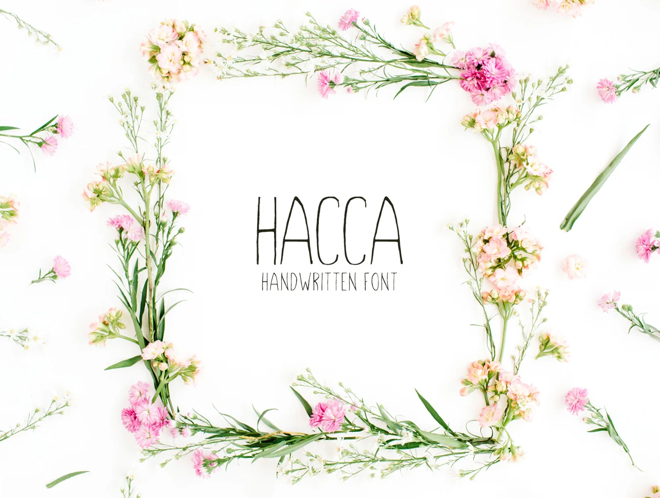 Hacca Handwritten