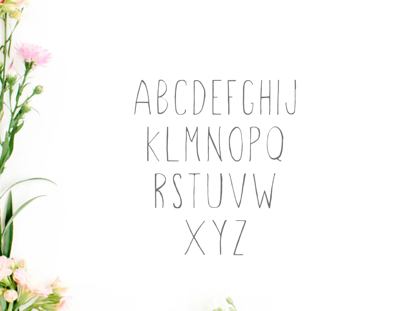 Hacca Handwritten 3