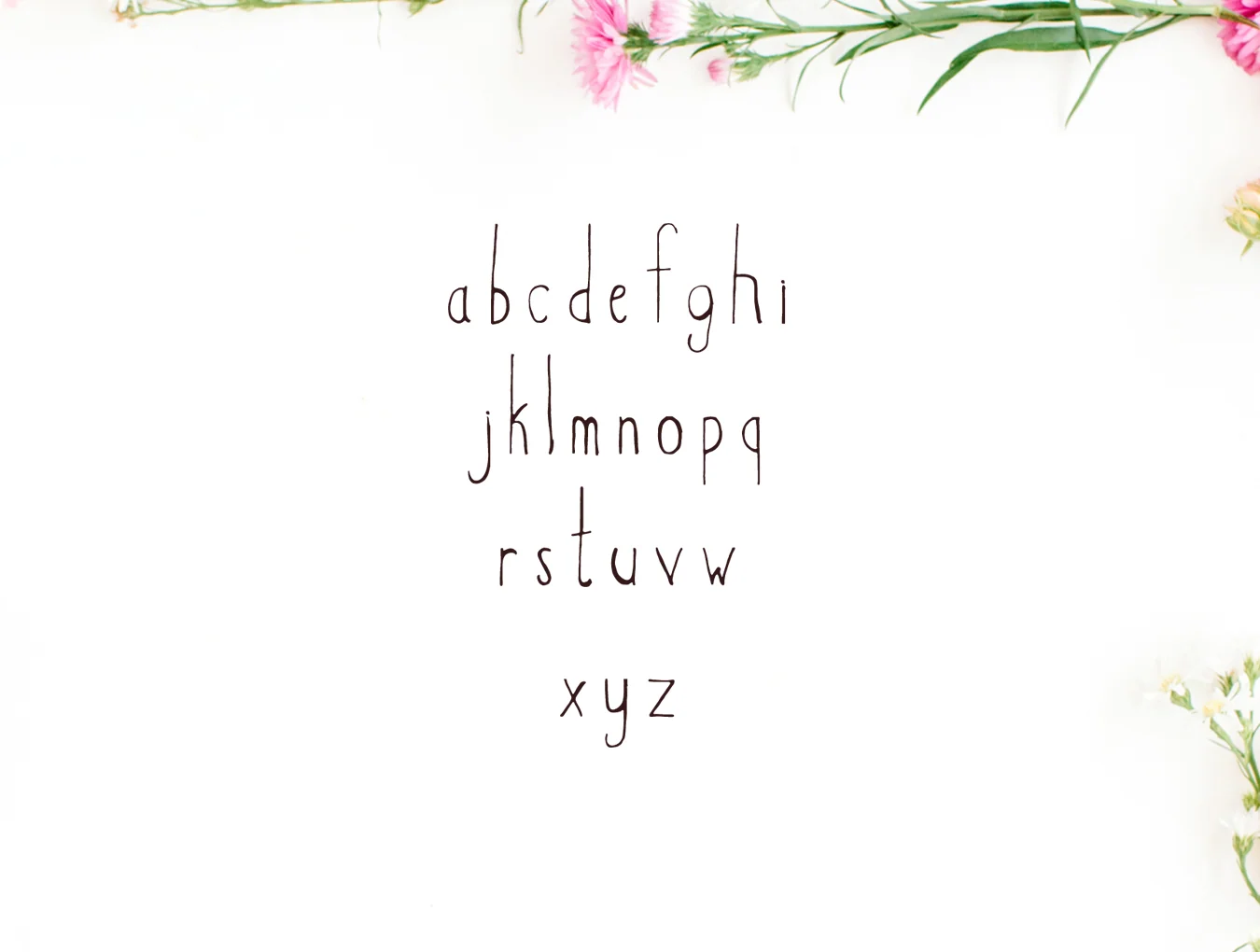 Hacca Handwritten 4