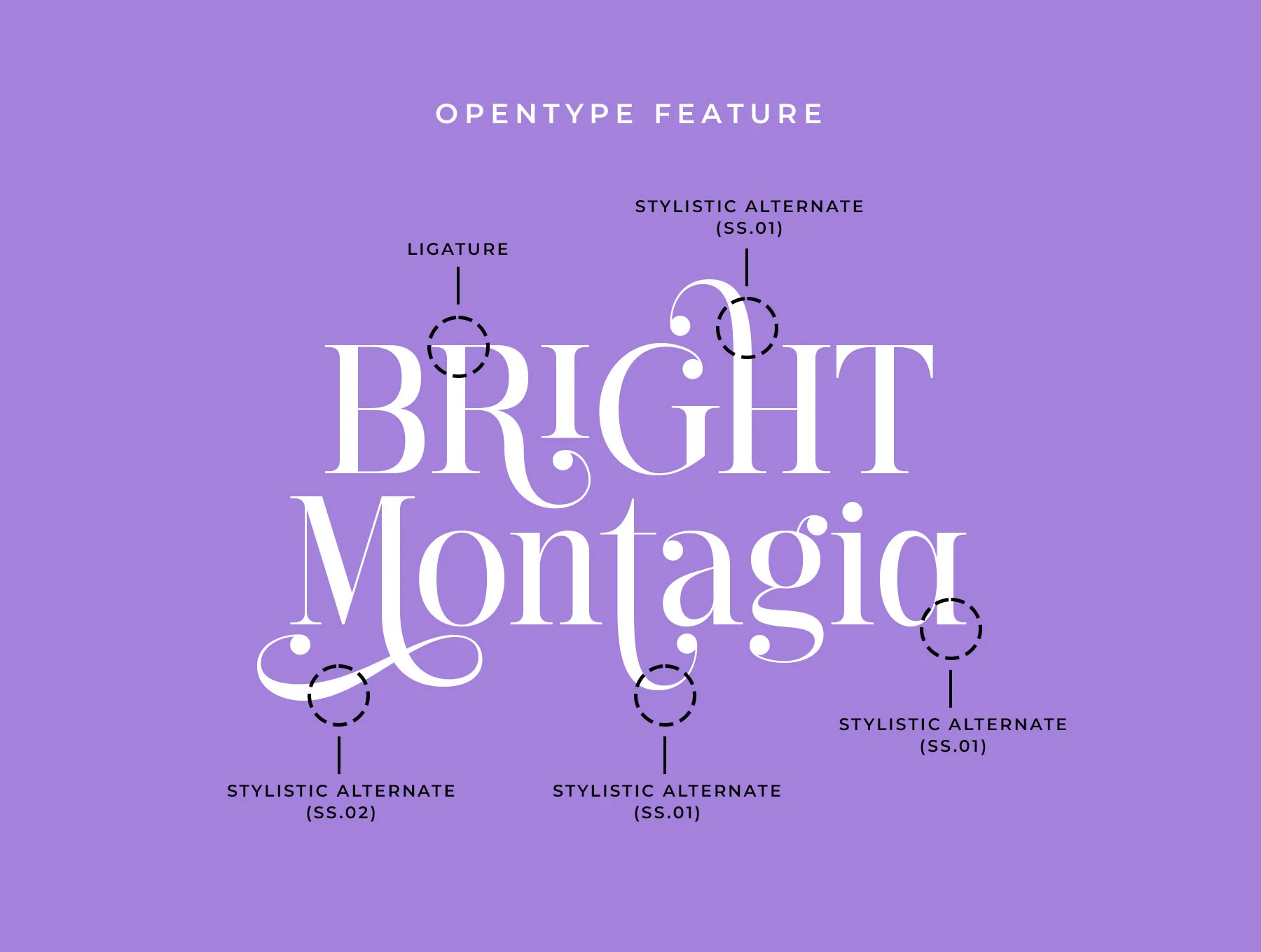 Hediora Elegant Display Serif Font 6