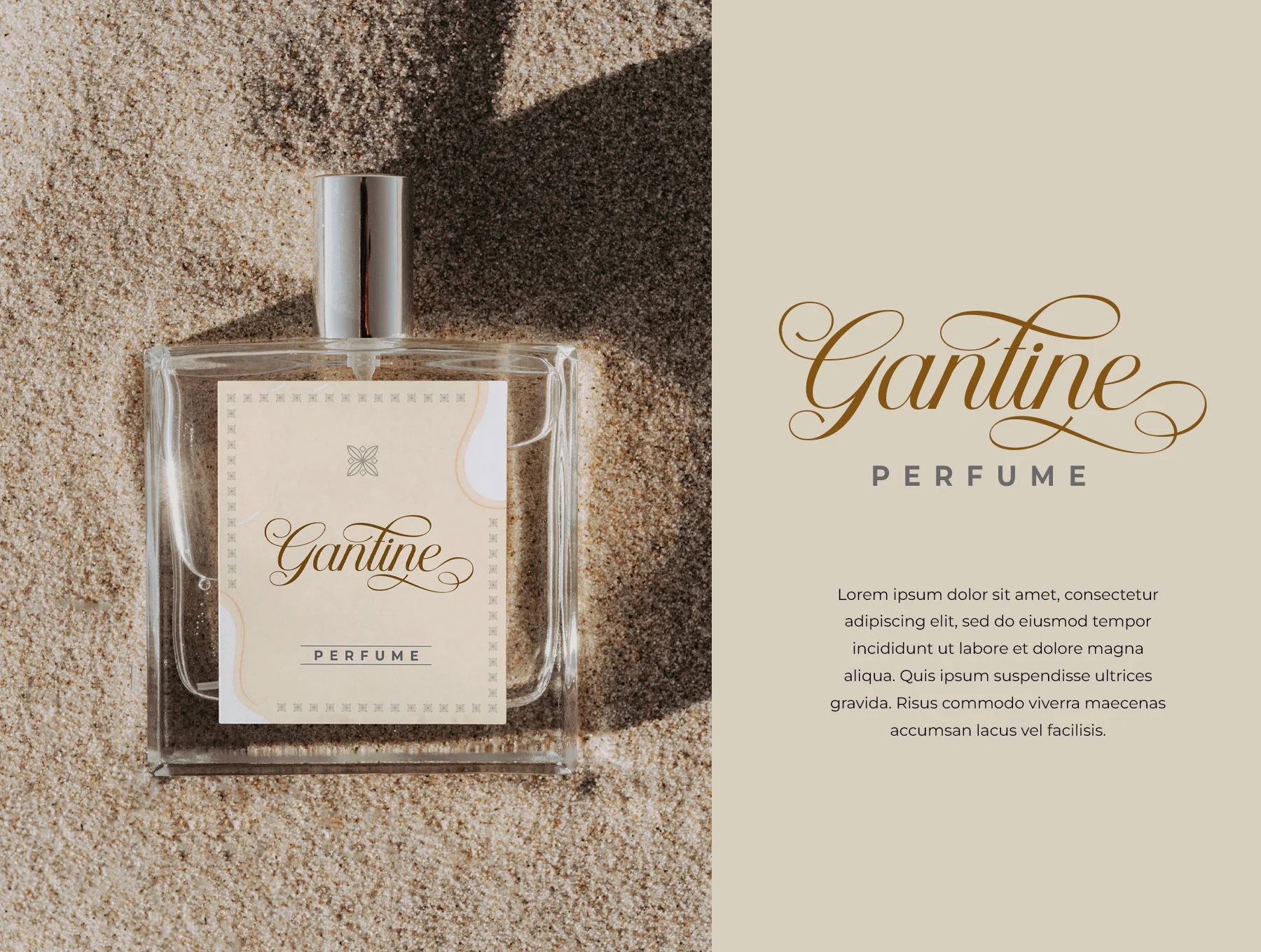 Helyna Elegant Script Font 3