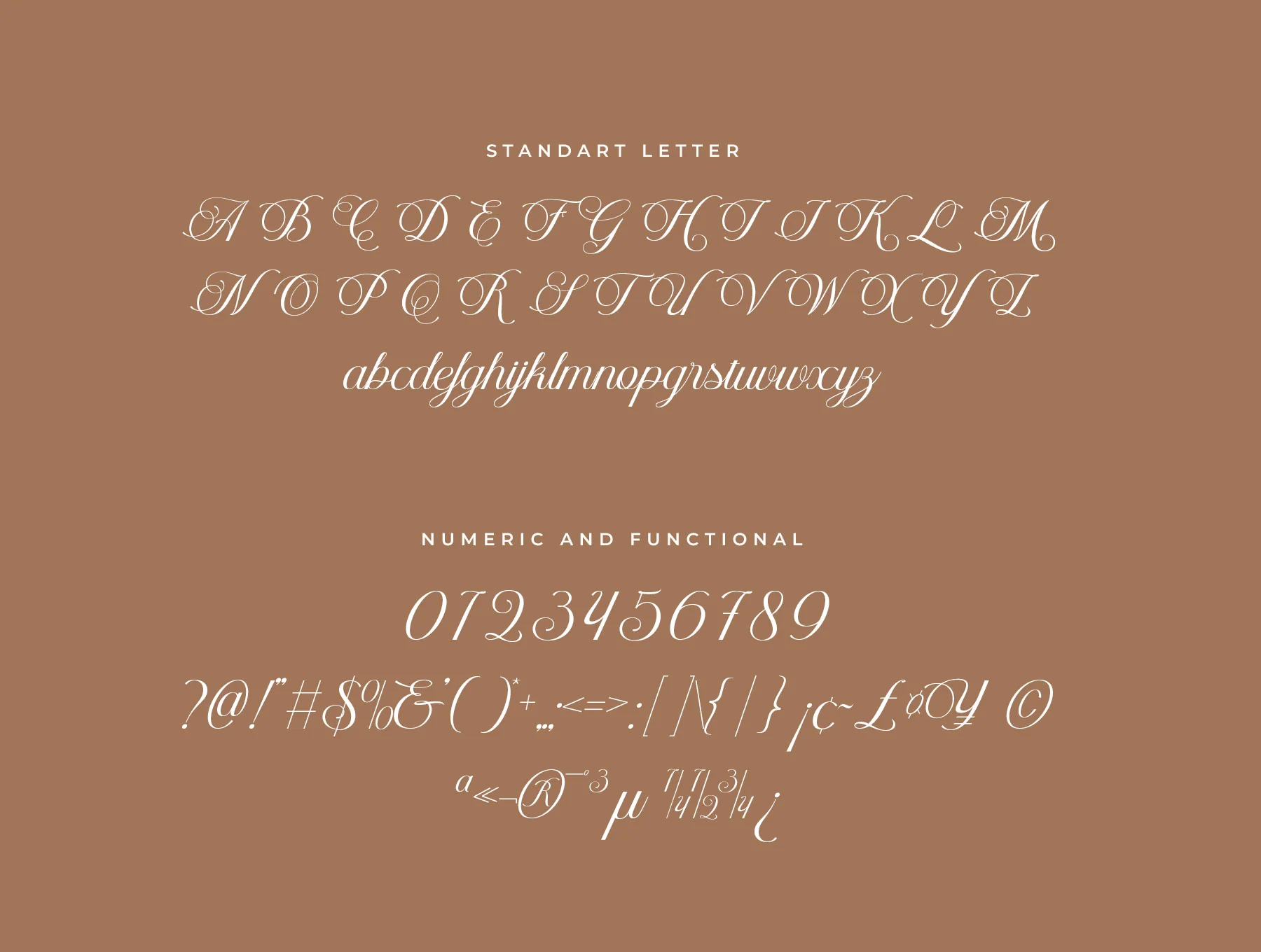 Helyna Elegant Script Font 8