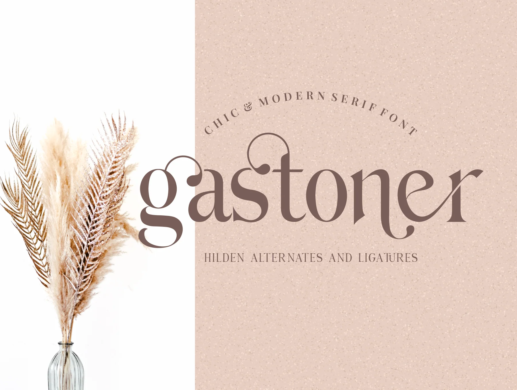 Hilden - stylish modern serif font 2
