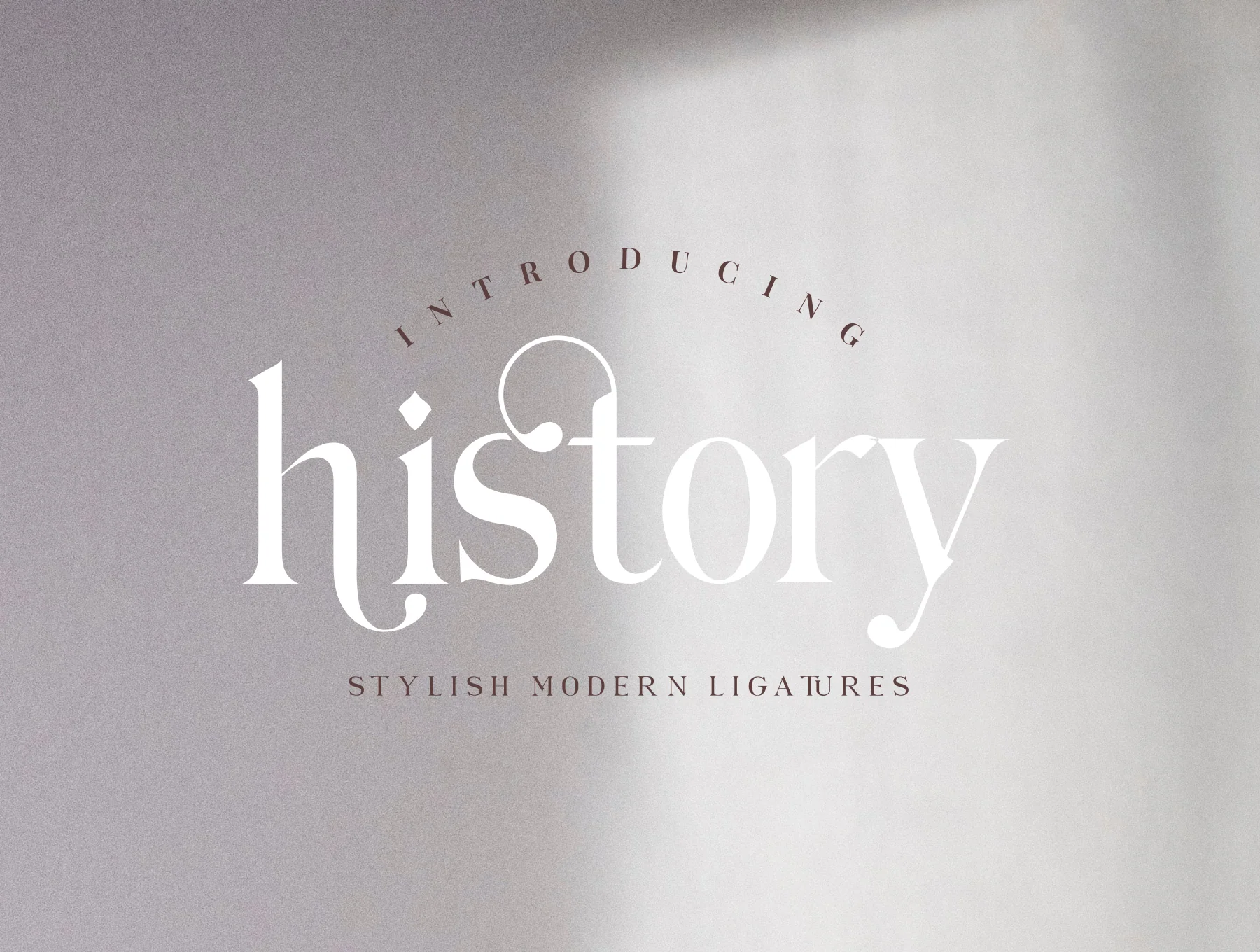 Hilden - stylish modern serif font 3