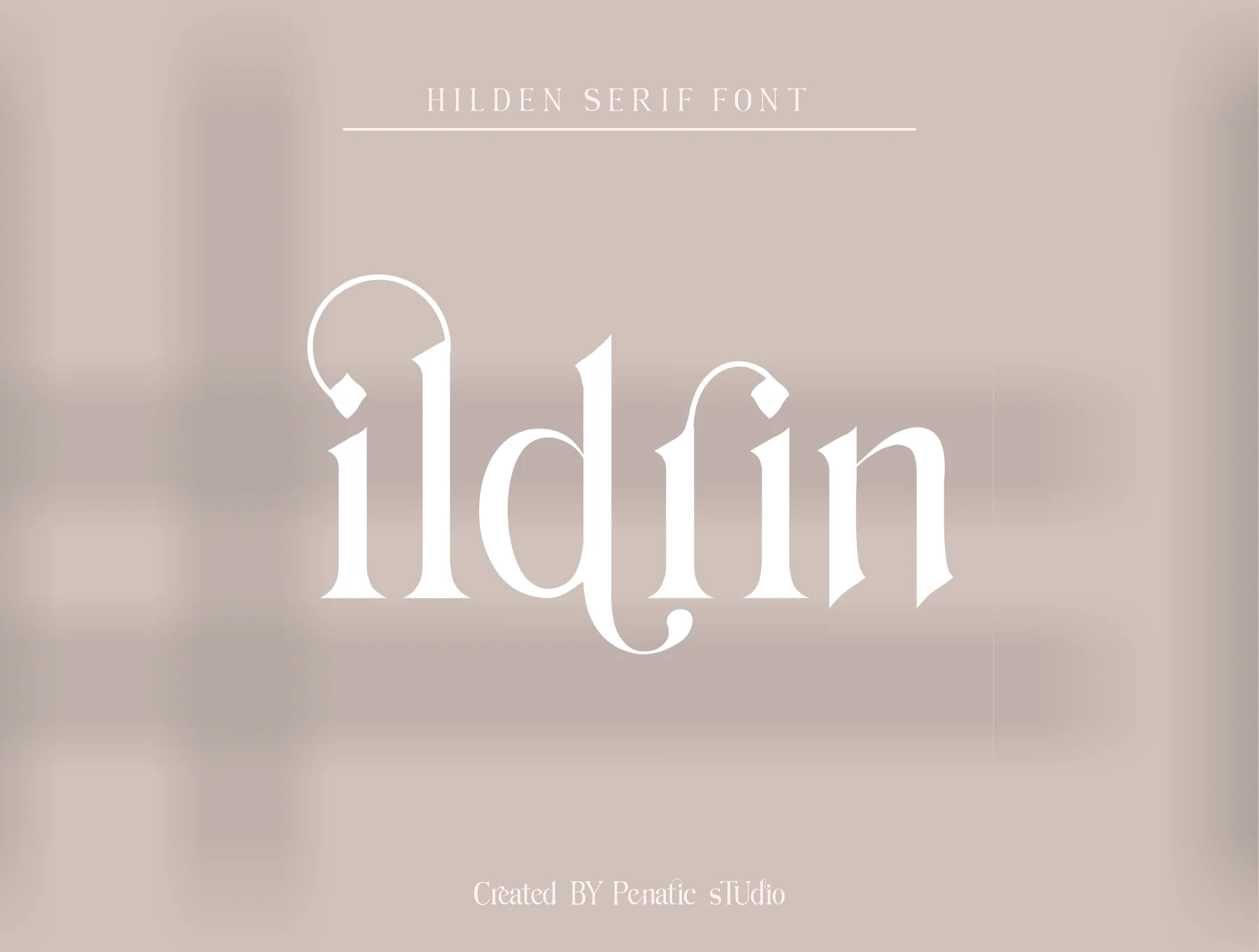 Hilden - stylish modern serif font 6