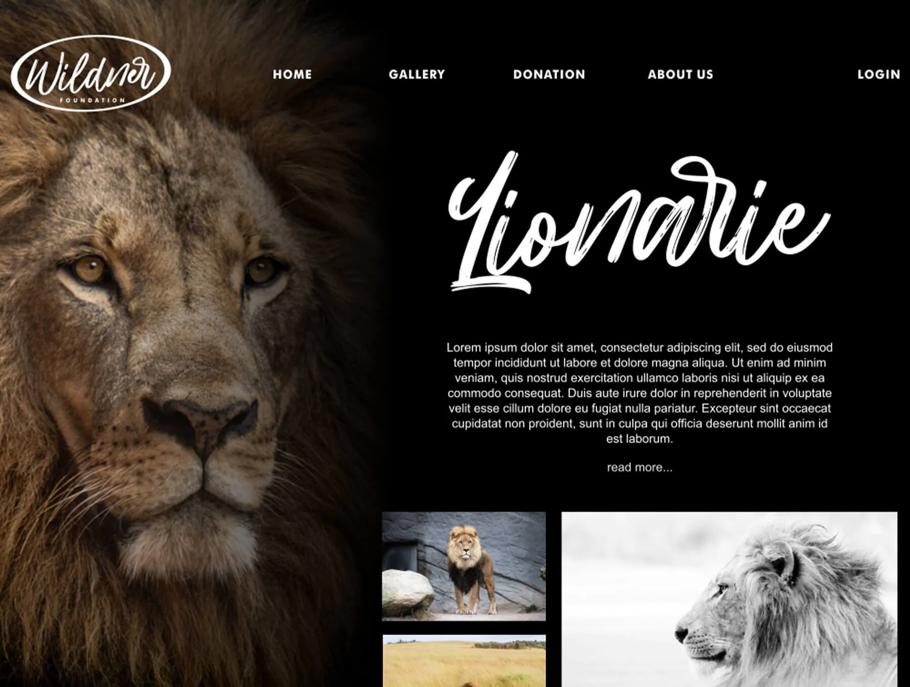 Hillbear - Handbrush Script Font 7
