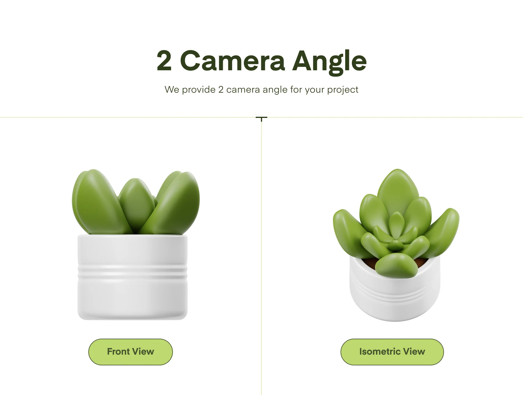 Houseplants 3D Icon 4