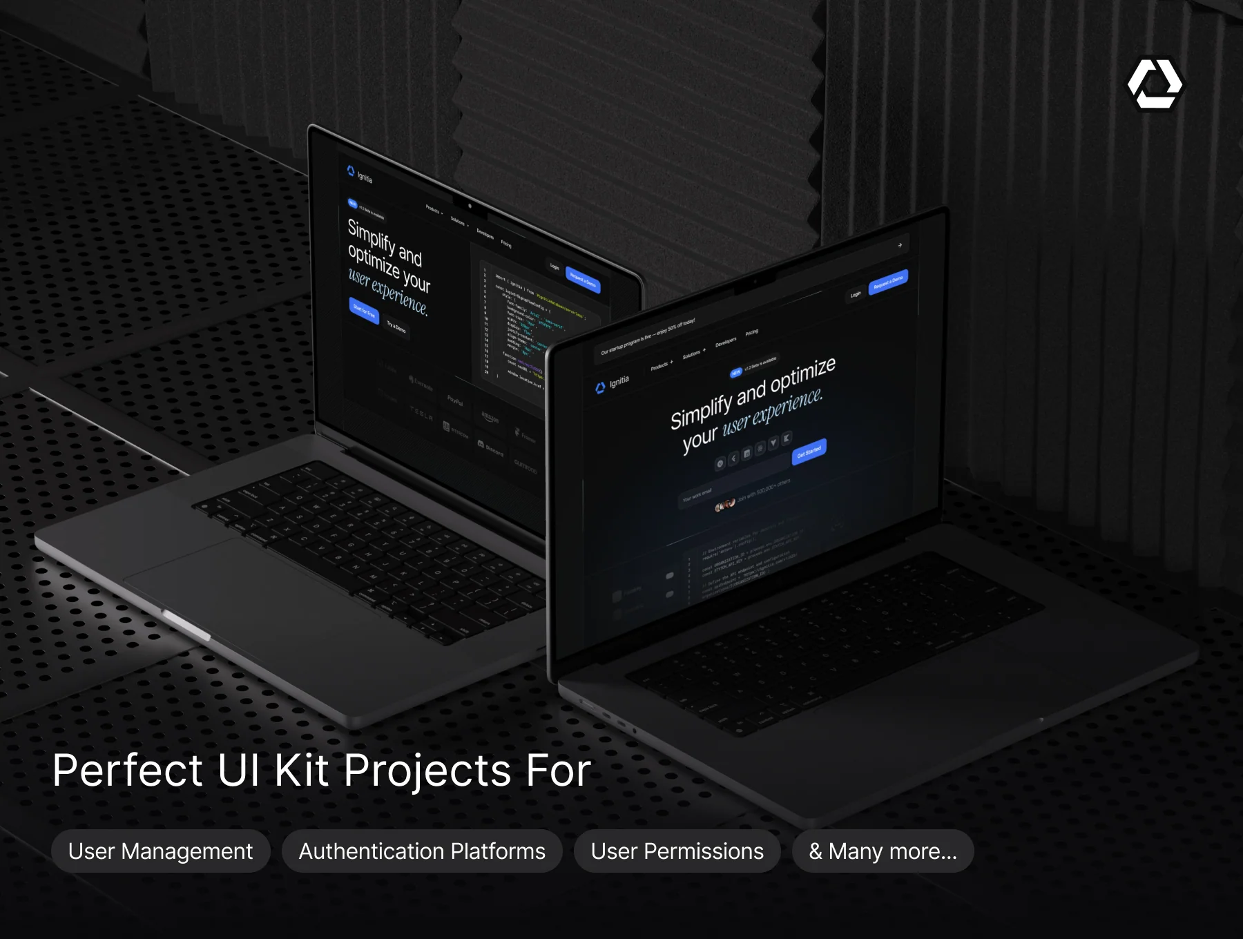 Ignitia - User Management & SaaS - Website UI Kit 4