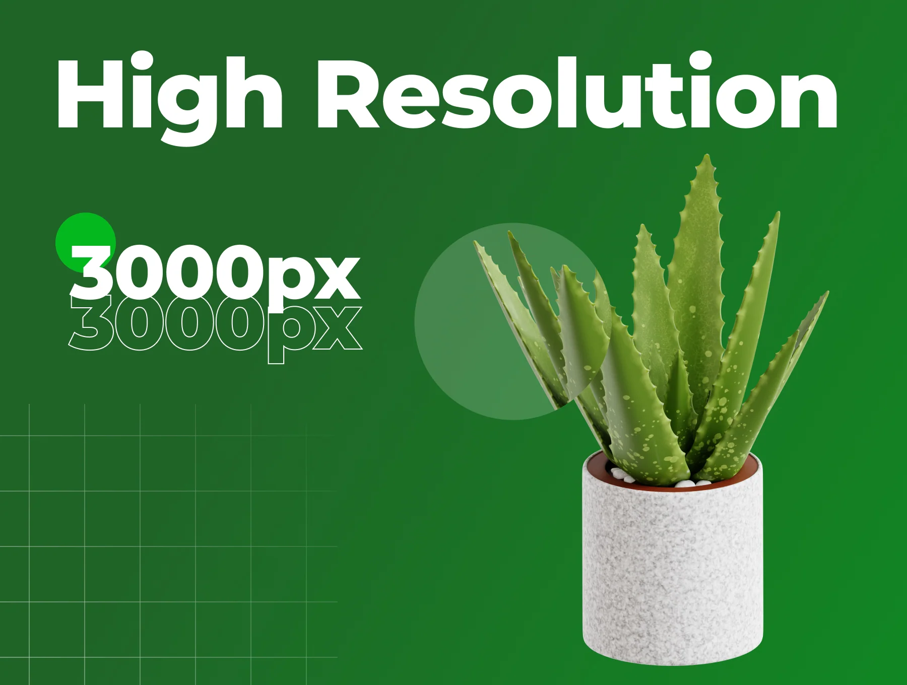 Indoor Plants 3D Icon Set 2