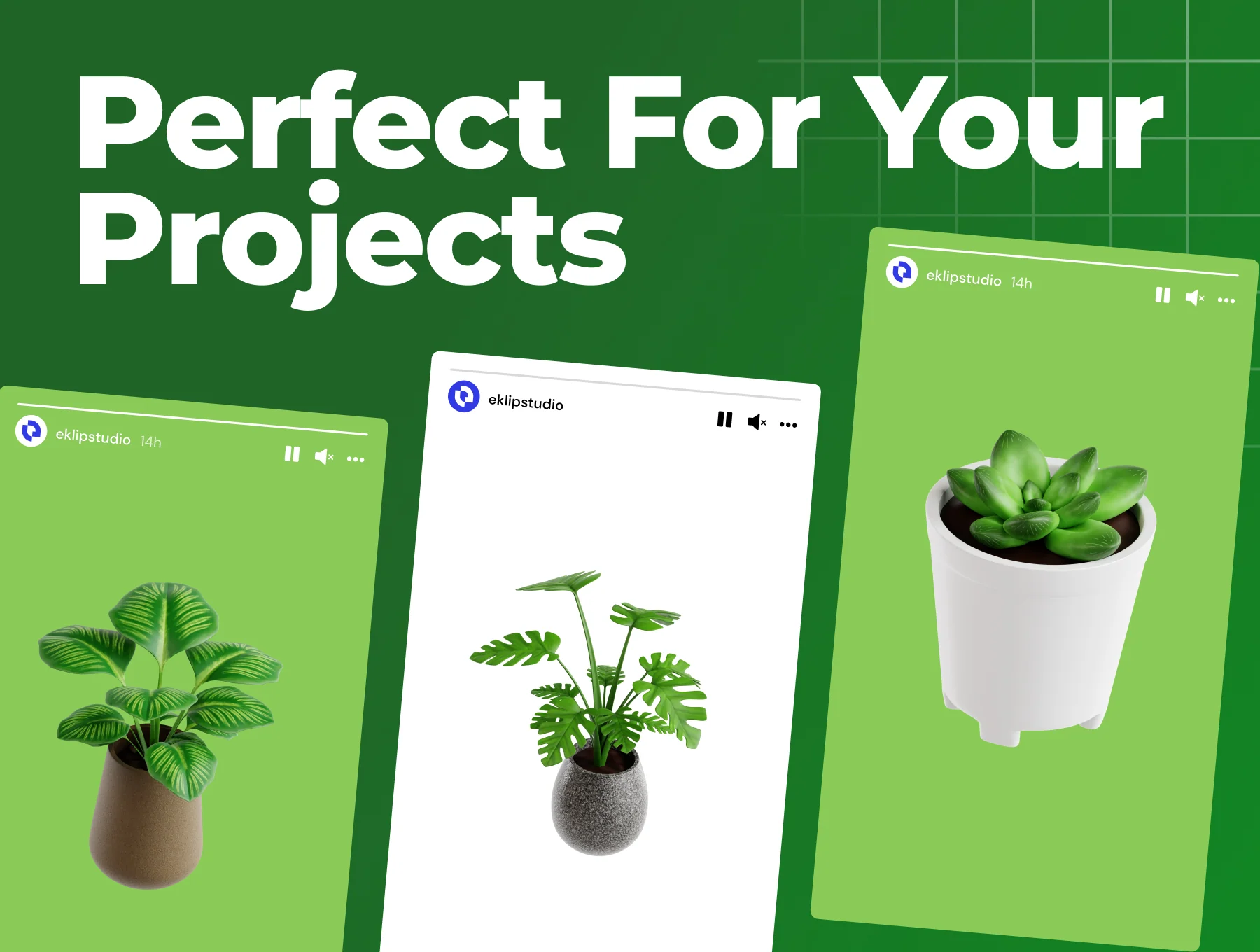 Indoor Plants 3D Icon Set 3