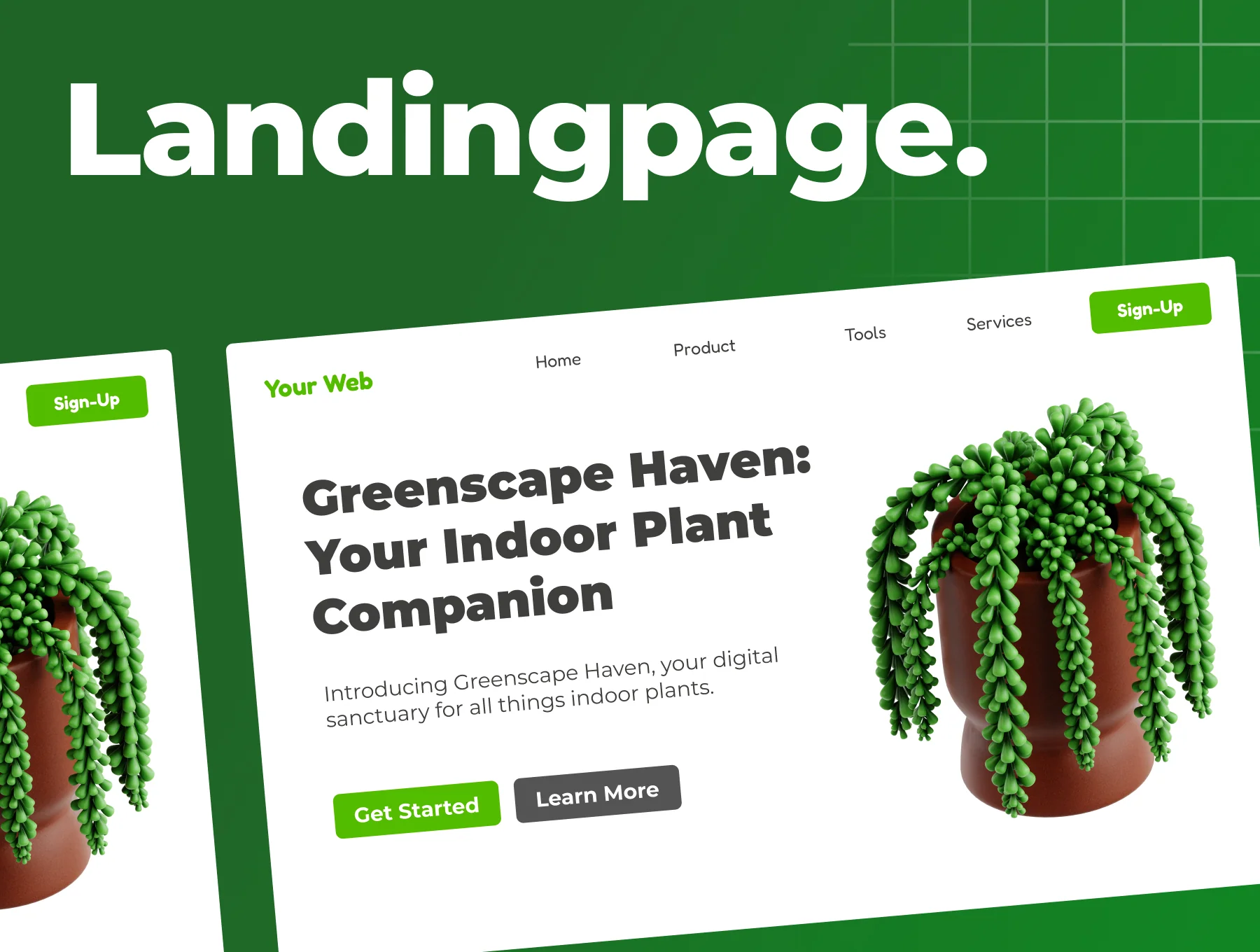 Indoor Plants 3D Icon Set 4