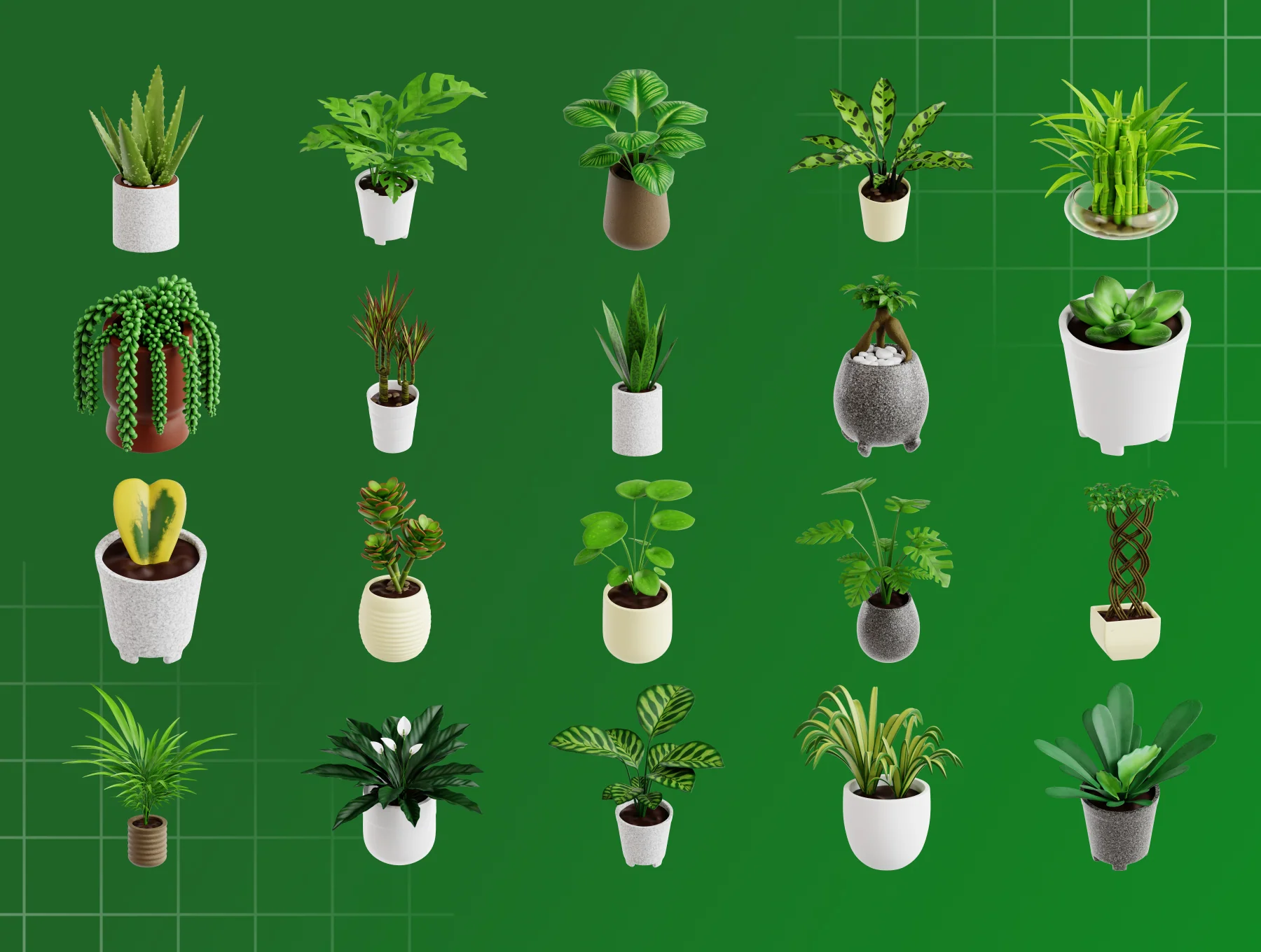 Indoor Plants 3D Icon Set 5
