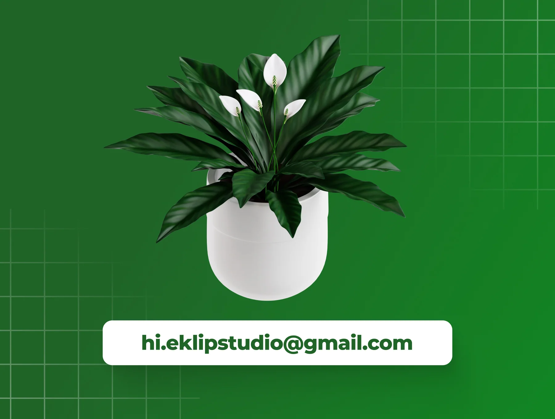 Indoor Plants 3D Icon Set 6