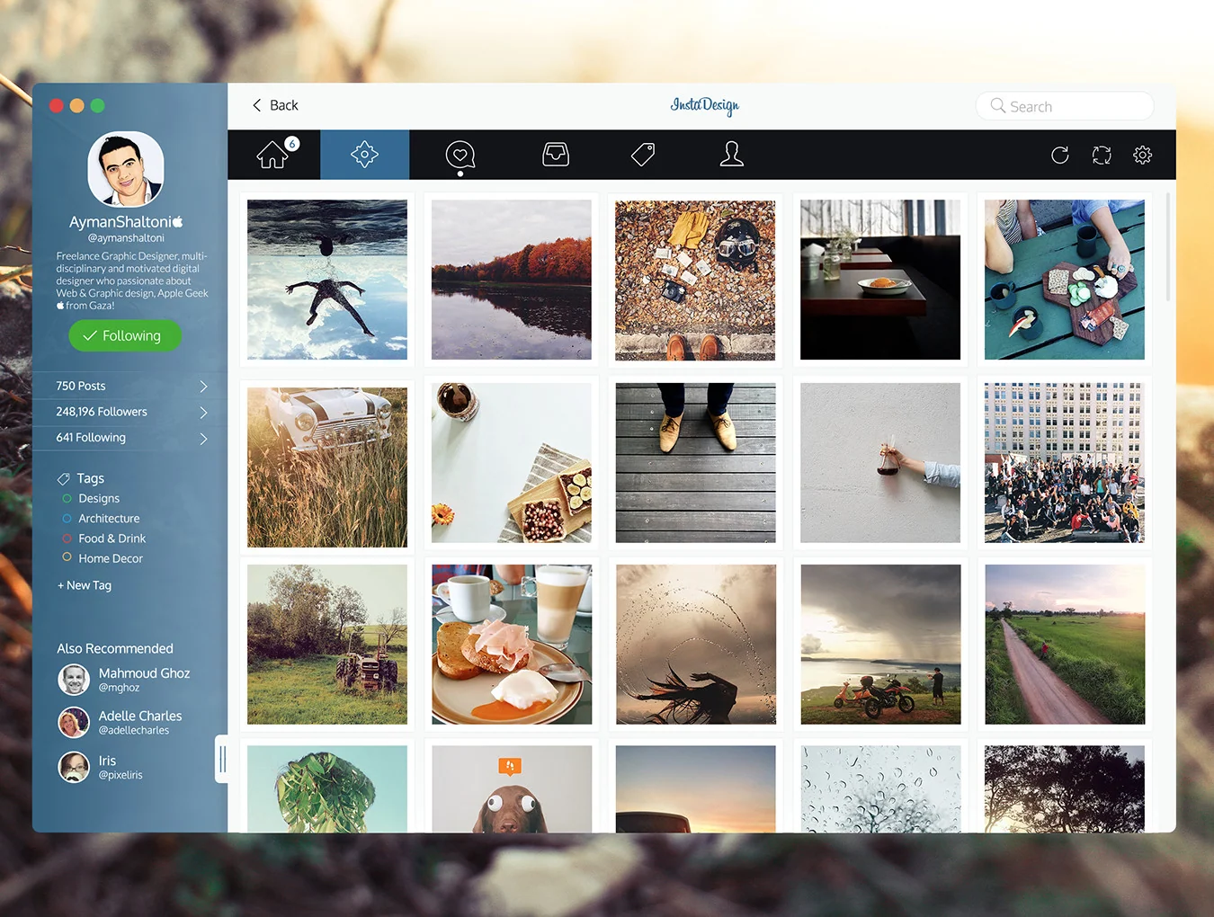 InstaDesign for OS X 2