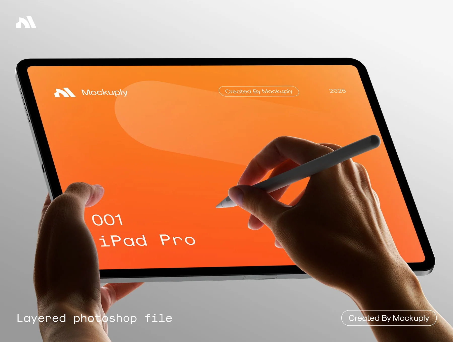 iPad Pro in hand 4