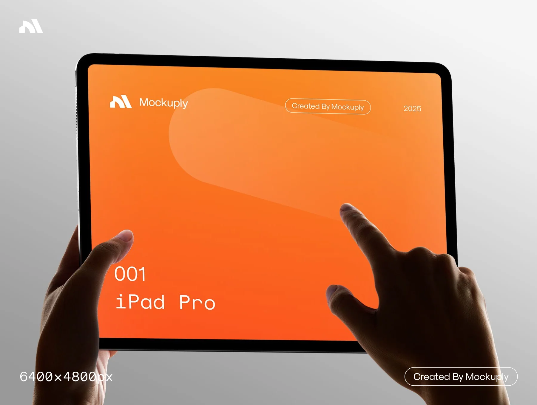 iPad Pro in hand 5