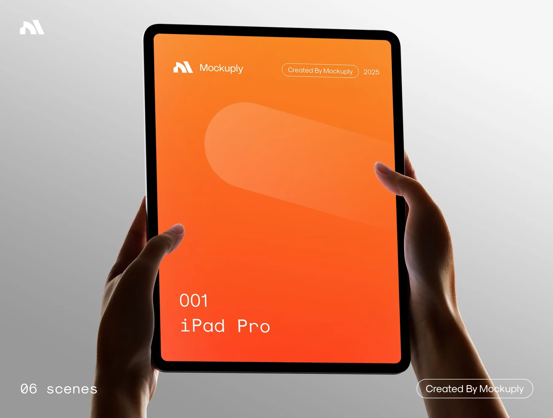 iPad Pro in hand 6